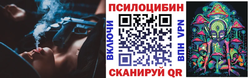 Галлюциногенные грибы Cubensis  где продают наркотики  кракен ссылки  Нефтекамск 